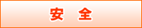 安全