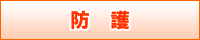防護